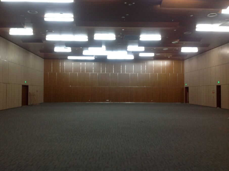 深圳人才園特大報告廳吸音工程